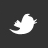Twitter Icon. 